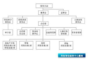 組織結(jié)構(gòu)圖設(shè)計(jì)軟件開(kāi)發(fā) 關(guān)鍵要素與實(shí)施策略